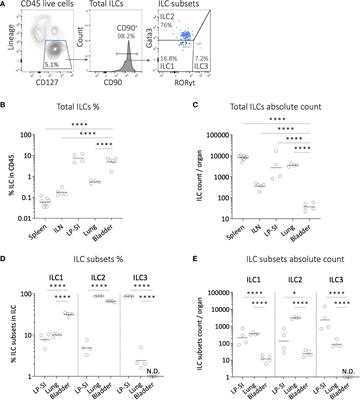Type 2 innate lymphoid cells are not involved in mouse bladder tumor development